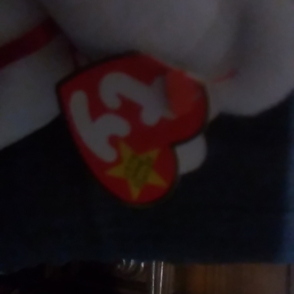 Maple the bear from canda - Picture 2 of 5
